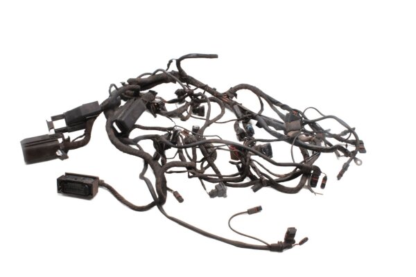 Cablaggio, set di cablaggio principale, connettori elettrici BMW R 1200 GS K25 0307 R12 04-07