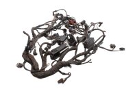 Cablaggio, set di cablaggio principale, connettori elettrici BMW R 1200 GS K25 0307 R12 04-07