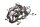 Cablaggio, set di cablaggio principale, connettori elettrici BMW R 1200 GS K25 0307 R12 04-07