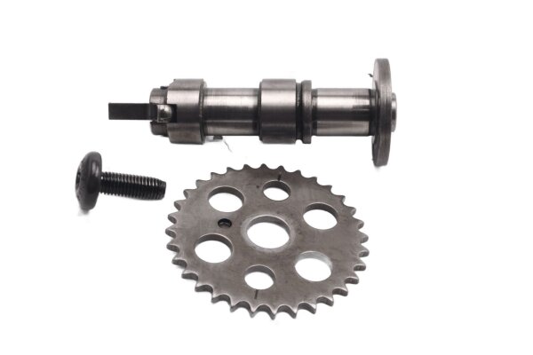 Nockenwelle Steuerkette Zahnrad Schraube BMW F 650 GS Dakar R13 0176 00-03