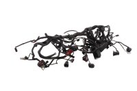 Cablaggio, cablaggio principale, impianto elettrico, centralina di controllo BMW R 1200 GS K25 0307 R12 04-07