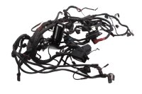 Cablaggio, cablaggio principale, impianto elettrico, centralina di controllo BMW R 1200 GS K25 0307 R12 04-07