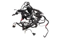 Cablaggio, cablaggio principale, impianto elettrico, centralina di controllo BMW R 1200 GS K25 0307 R12 04-07