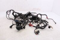 Cablaggio, cablaggio principale, impianto elettrico, centralina di controllo BMW R 1200 GS K25 0307 R12 04-07