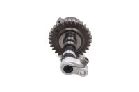 Ausgleichswelle Wuchtwelle Zahnrad Motor BMW K 1200 S K40 K12S 0581 05-08