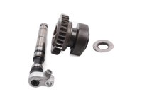 Ausgleichswelle Wuchtwelle Zahnrad Motor BMW K 1200 S K40 K12S 0581 05-08