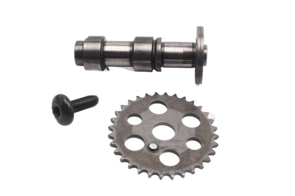 Nockenwelle Zahnrad Steuerung Kettenschraube BMW F 650 GS Dakar R13 0176 00-03