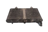 Oliekøler, radiator, olieledning, motorkøling BMW R BMW R 1200 R R1ST K27 0400 11-14