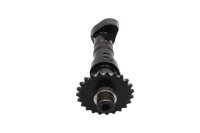 Camshaft right, control shaft drive BMW R 1200 R R1ST K27 0400 11-14