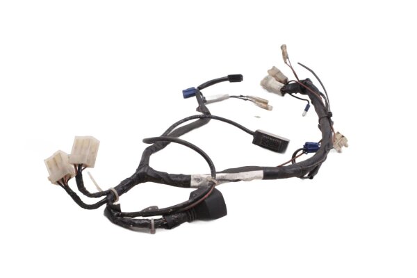 Kabelboom, hoofdkabelboom, koplampen, stroomverdeler Yamaha YZF R6 RJ09 05-06