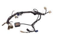 Kabelboom, hoofdkabelboom, koplampen, stroomverdeler Yamaha YZF R6 RJ09 05-06