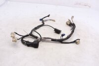 Kabelboom, hoofdkabelboom, koplampen, stroomverdeler Yamaha YZF R6 RJ09 05-06