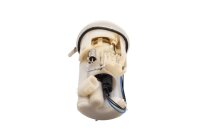 Kraftstoffpumpe Benzinpumpe Einspritzpumpe 5PW-13907-01 Yamaha YZF R6 RJ09 05-06