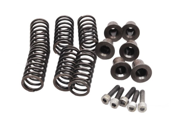 Kopplingsfjädrar, kopplingstryckstycken Ducati Monster 600 Dark ZDM300AA 98-01