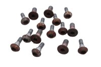 Set remschijfschroeven, binnenzeskantsleutel, Torx Yamaha...