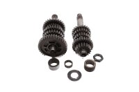 Transmission main shaft, countershaft, shift shaft Ducati...