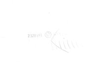 Vasen ohjaustangon suojus, ohjaustangon painon suojus BMW R 1150 GS R21 0415 99-04