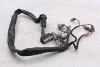 Cableado del panel de instrumentos, iluminación del velocímetro BMW R 1150 GS R21 0415 99-04