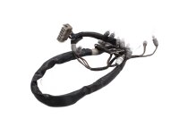 Cablaggio, quadro strumenti, illuminazione del tachimetro, illuminazione BMW R 1100 GS 259 0409 93-99