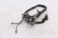 Cablaggio, quadro strumenti, illuminazione del tachimetro, illuminazione BMW R 1100 GS 259 0409 93-99