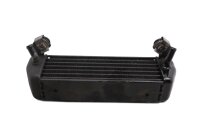 Ölkühler vorne links Motorkühlung R21 R1150GS BMW R 1150 GS R21 0415 99-04