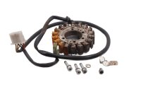 Alternator stator electric generator Gilera Nordwest 600...