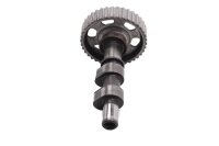 Ingranaggio di fasatura dellalbero a camme di aspirazione Gilera Nordwest 600 600FB 91-93