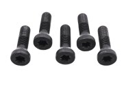 Set di bulloni per ruote, bulloni per ruote posteriori, cerchione BMW R 1200 R R1ST K27 0378 07-10