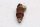 Fuel injector nozzle, fuel nozzle, injector valve, rusty BMW K 100 RS K100RS 83-89