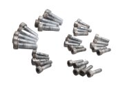Brake disc screw set with internal hexagon socket Gilera...