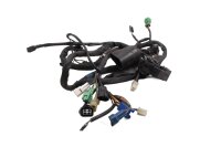 Wiring harness, main wiring harness, electrical system...