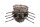 Engine casing, crankcase (top, bottom), V-shape Moto Guzzi V35 Imola 2 PC 84-89
