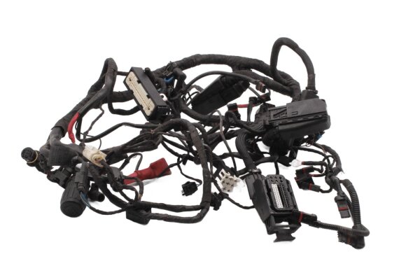 Hovedledningsnet, elektrisk ledningsnet, stik BMW R 1200 R R1ST K27 0378 07-10