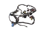 Kabelbaum Hauptkabel Leitungssatz Elektrik Honda CB 600 F...