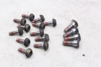 Bremsscheiben Schraubensatz vorne hinten Honda CB 600 F Hornet PC41 07-08