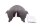 tinted windshield, spoiler screen, Street Naked Suzuki GSF 1200 Bandit WVA9 01-05