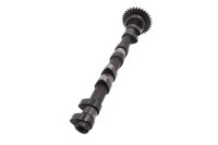 Albero a camme, controllo valvole, trasmissione scarico, ingranaggio Kawasaki ZX-7R ZX750N 96-99