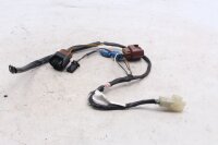 faisceau de câbles pour phares Suzuki GSF 1200 Bandit WVA9 01-05