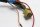 Handlebar switch, left handlebar control Suzuki GV 1400 G Cavalcade GV1400 85-88
