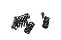 Clutch springs, screws, clutch basket Suzuki GV 1400 G...