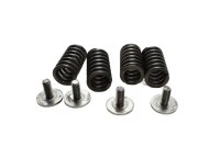 Clutch springs, screws, clutch basket Suzuki GV 1400 G...