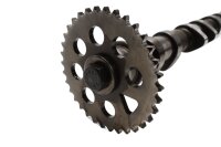 Kamaxel, avgasrör, transmissionsaxel, ventilstyrning BMW K 1100 LT K589 0526 90-98