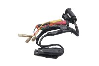 Wiring harness, rear light, turn signals, rear electrical system BMW R 1200 GS K25 0307 R12 04-07