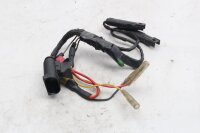Wiring harness, rear light, turn signals, rear electrical system BMW R 1200 GS K25 0307 R12 04-07