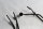 Brake line ABS line system hydraulics BMW R 1200 GS K25 0307 R12 04-07