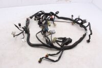 Wiring harness, main wiring harness, ignition, electrical system KTM 1290 Super Duke R 1290SDR/14 14-16