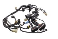Main wiring harness, electrical wiring harness,...