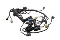 Main wiring harness, electrical wiring harness,...