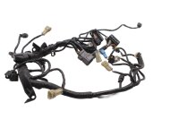 Cablaggio principale, cablaggio elettrico, connettori KTM 1290 Super Duke R 1290SDR/14 14-16