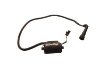 Ignition coil, ignition cables, spark plug connectors...